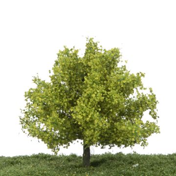 Silhouette Platane - Frühling - 12-16cm (233-41)
