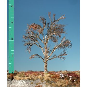 Silhouette Platane - Kahl - 2 (ca. 15-20cm) (233-20)