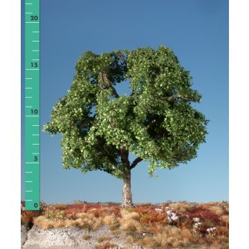 Silhouette Platane - Sommer - 0 (< ca. 8cm) (233-02)