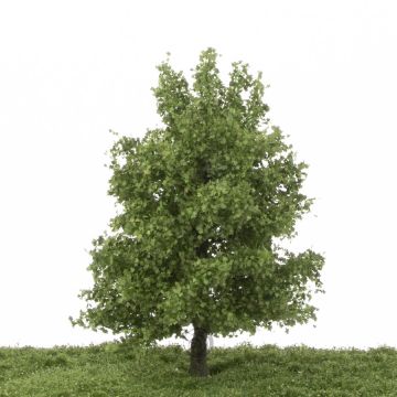 Silhouette Platane - Sommer - 0 (< ca. 8cm) (233-62)