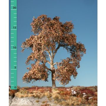 Silhouette Platane - Spätherbst - 0 (< ca. 8cm) (233-04)
