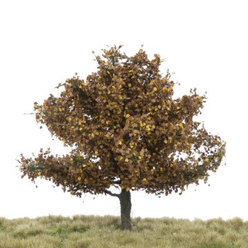 Silhouette Platane - Spätherbst - 12-16cm (233-44)