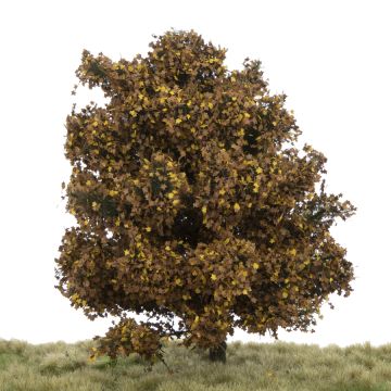 Silhouette Platane - Spätherbst - 0 (< ca. 8cm) (233-64)
