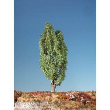 Silhouette Pyramidenpappel - Sommer - 0 (< ca. 8cm) (113-02)
