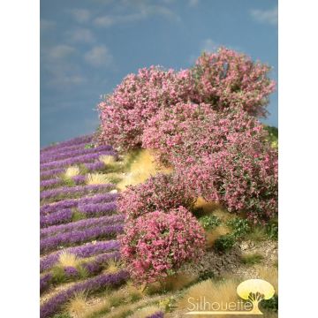 Silhouette Rhododendron - Rosa - 0 (< ca. 8cm) - H0 / TT (253-07)