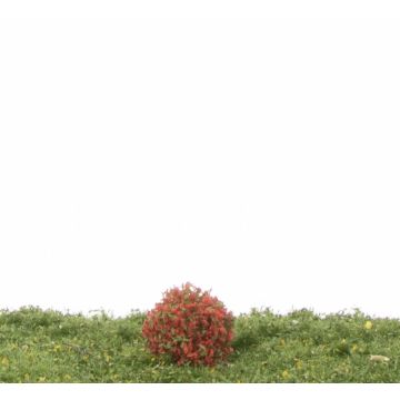 Silhouette Rhododendron - Rot - ca. 2cm - H0 / TT (253-14)