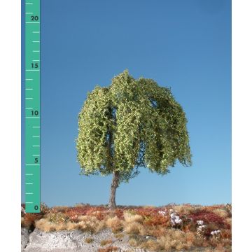 Silhouette Trauerweide - Frühherbst - 0 (< ca. 8cm) (240-03)