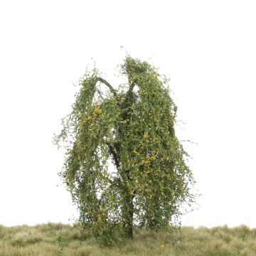 Silhouette Trauerweide - Frühherbst - 12-16cm (240-43)