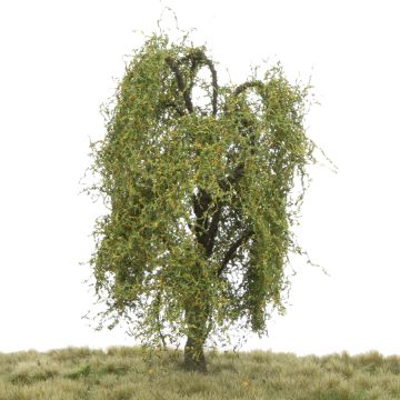 Silhouette Trauerweide - Frühherbst - 17-22cm (240-53)