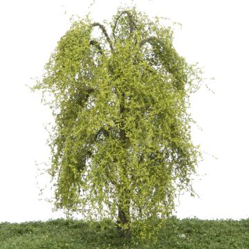 Silhouette Trauerweide - Frühling - 17-22cm (240-51)