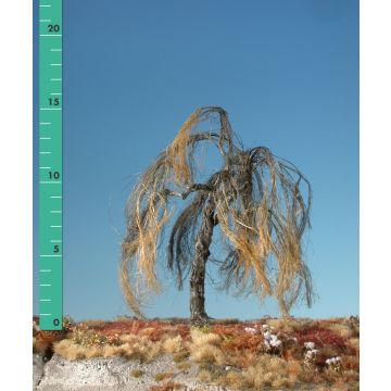 Silhouette Trauerweide - Kahl - 2 (ca. 15-20cm) (240-20)