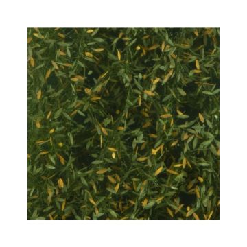 Silhouette Trauerweidenlaub - Frühherbst - ca. 50x31,5cm - H0 / TT (940-23H)