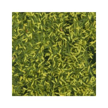 Silhouette Trauerweidenlaub - Frühling - ca. 63x50cm - H0 / TT (940-21G)