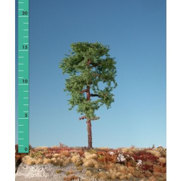 Silhouette Waldkiefer - Sommer - 1 (ca. 10-13cm) - N / Z (170-12)