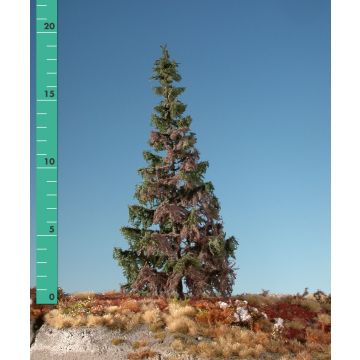 Silhouette Wetterfichte - Sommer - 1 (ca. 10-13cm) (173-16)
