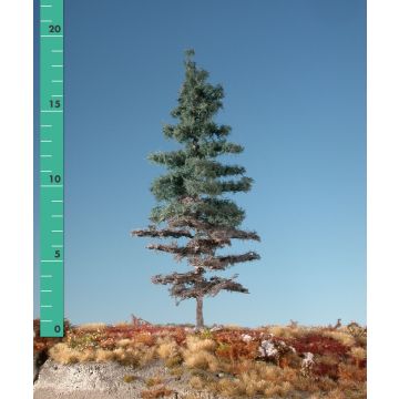 Silhouette Wettertanne - Sommer - 0 (< ca. 8cm) (176-06)