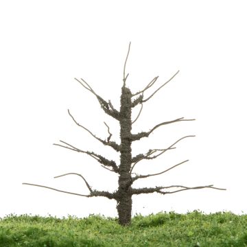 Unique Apfelbaum - Baumrohling - 12-16cm (81-0226-01)