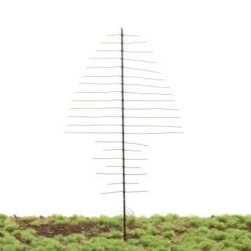 Unique Tanne Hochstamm  - Baumrohling - Bausätz - 190mm (81-0007-02)